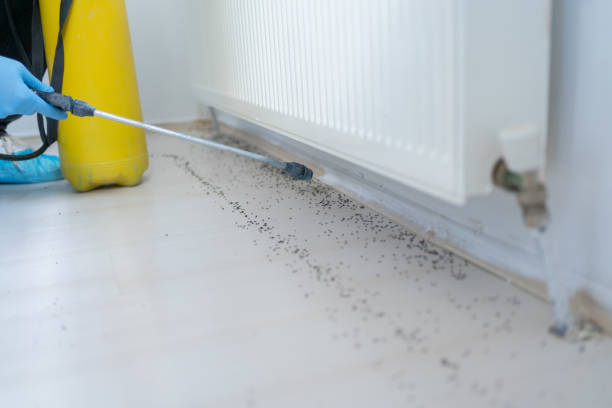Best Mosquito Control Services  in Stockton, MO
